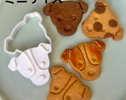 3 ジャッキー ラッセル様14本 jakkurasseruteriasiikufunntouki