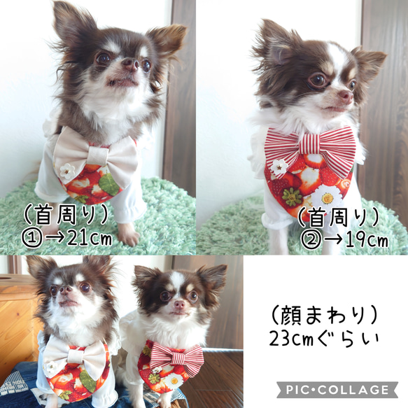 小型犬用 猫用 ♡ リアルいちごプリント ♡ でかリボンスタイ 8枚目の画像