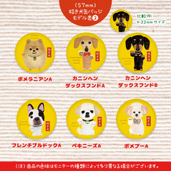 招き犬缶バッジ　缶バッジ57mm　モデルリクエスト無料（犬種 うちの子 ワン友さんの子など）イラスト　送料無料　ペット　 4枚目の画像