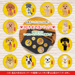 ぽちいぬ缶バッジ ぽちいぬ(最強) (@poch1inu) / X