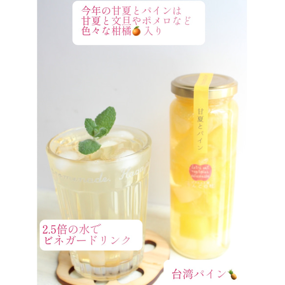 カラダに優しい贈り物！誕生日などにも彩り綺麗なピクルスギフト3本セット　豆・野菜・パイン 5枚目の画像