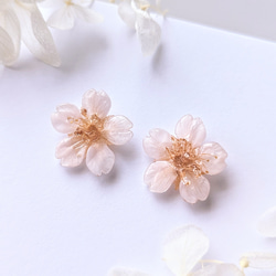 【K18】【受注制作】Everpink. 本物のお花　厳選花で仕上げる桜のピアス 18金　ミニサイズ 11枚目の画像