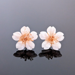 【K18】【受注制作】Everpink. 本物のお花　厳選花で仕上げる桜のピアス 18金　ミニサイズ 2枚目の画像