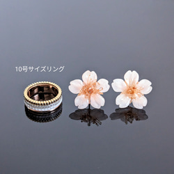 【受注制作】Everpink. 本物のお花　厳選花で仕上げる桜のピアス　ミニサイズ　特小 3枚目の画像