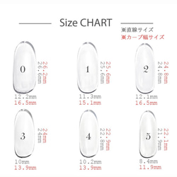 計測用ネイルチップ 3枚目の画像