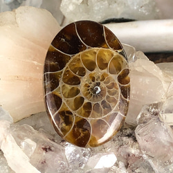 宝石彫刻】アゲート（ジオード）・フクロウ 天然石 しださん(=ﾟωﾟ