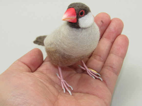 本トリ No.108 シナモン文鳥 5号 / 羊毛フェルト リアルサイズ 9枚目の画像