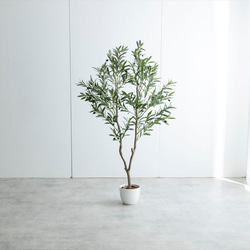 【高さ150cm】光触媒人工観葉植物 オリーブ 【WRK162014】 4枚目の画像