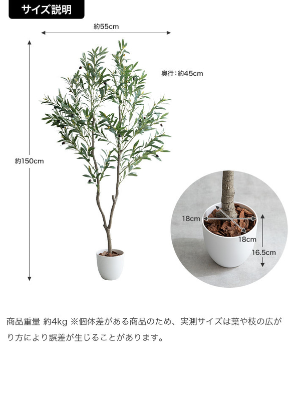 【高さ150cm】光触媒人工観葉植物 オリーブ 【WRK162014】 10枚目の画像