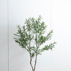 【高さ150cm】光触媒人工観葉植物 オリーブ 【WRK162014】 3枚目の画像