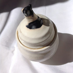 受注制作　陶器　やきもの　一点もの「 うちの子　キャニスター　壺　ポット」　 2枚目の画像