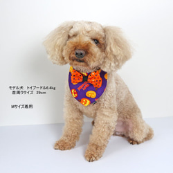 ★完成品★蝶ネクタイバンダナ ハロウィン パンプキン　パープル【Lサイズ】リボン　紫　 仮装 衣装 犬 猫 ペット 5枚目の画像