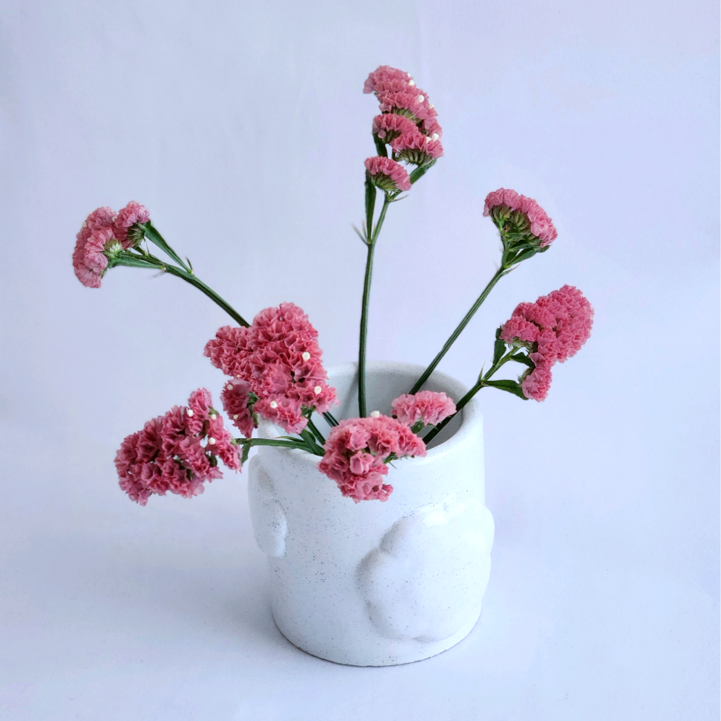 ぷっくりお花のフラワーベース [Salt & pepper] 4,675円