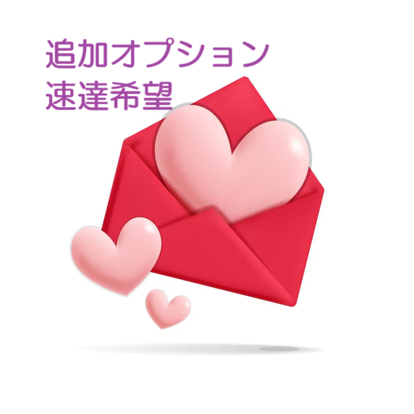☆速達ご希望☆ 平日のみ その他素材 Koinu🍀ki nonta^n 通販