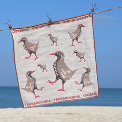 ToriTori大阪泉州製4重ガーゼハンカチ　ヤンバルクイナ　サイズ34ｃｍ角　綿100％　大阪泉州製 1枚目の画像