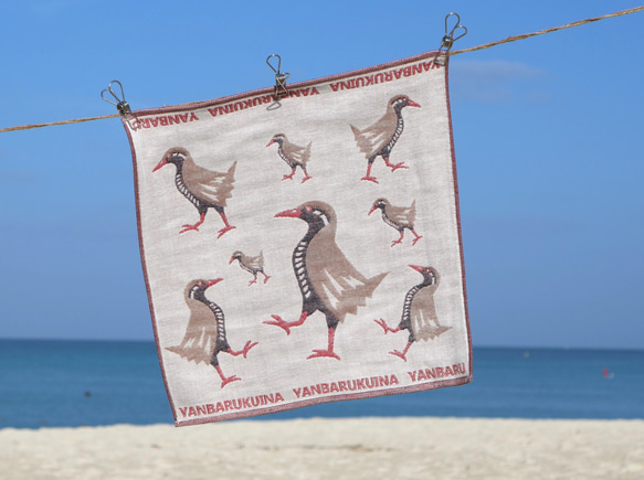 ToriTori大阪泉州製4重ガーゼハンカチ　ヤンバルクイナ　サイズ34ｃｍ角　綿100％　大阪泉州製 1枚目の画像