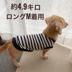 ブロック模様　ミントブルー　ロングサイズ　ミニチュアダックス　タンクトップ　　愛犬服　ペット服　わんこ服　犬服　トイプー 9枚目の画像