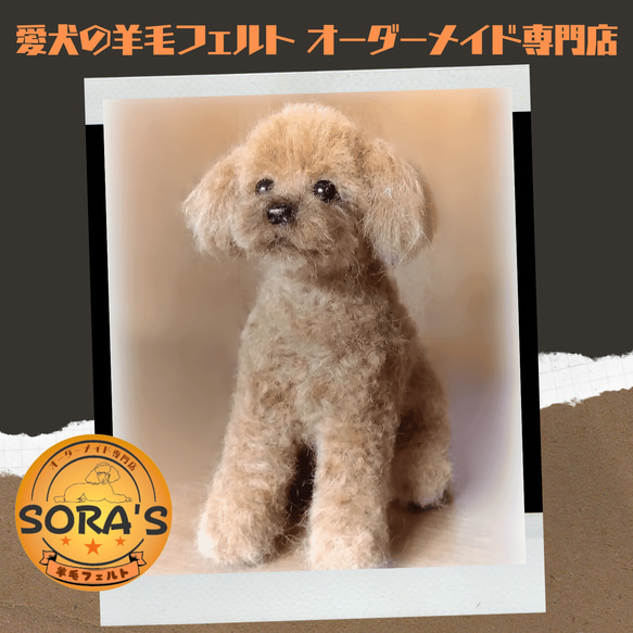 羊毛フェルト＃犬　リアルで可愛い　愛犬さん　オーダー制作・わんちゃん　プードル 1枚目の画像