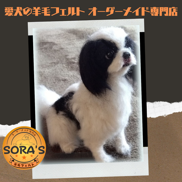 羊毛フェルト＃犬　リアルで可愛い　愛犬さん　オーダー制作・わんちゃん　ちん 1枚目の画像