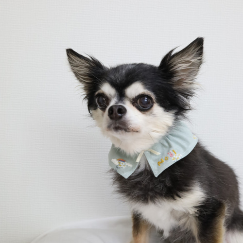ペットスタイ 犬スタイ 刺繍 名入れ 花が可愛いグリーンのスタイ