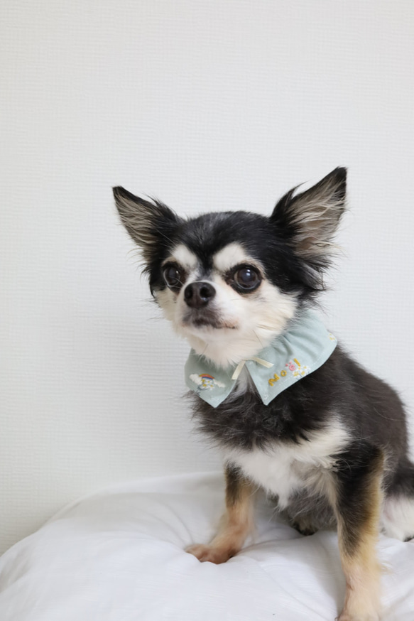 ペットスタイ　犬スタイ　刺繍　名入れ　花が可愛いグリーンのスタイ 2枚目の画像