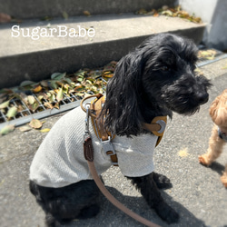 犬服 ユーズド風 シンプル ガーゼ ニット カジュアル おしゃれ 可愛い オートミール 杢 Tシャツ 4枚目の画像