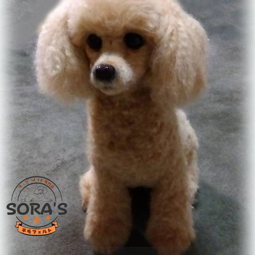 羊毛フェルト＃犬 リアルで可愛い 愛犬さん オーダー制作・わんちゃん  