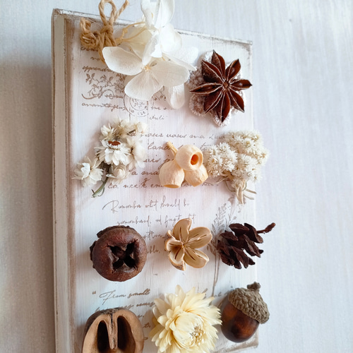 壁飾り 【木の実コレクション】 秋色 ナチュラル ウォールデコ