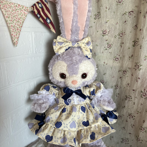 ステラ・ルー ❤︎ 済まない コスチューム