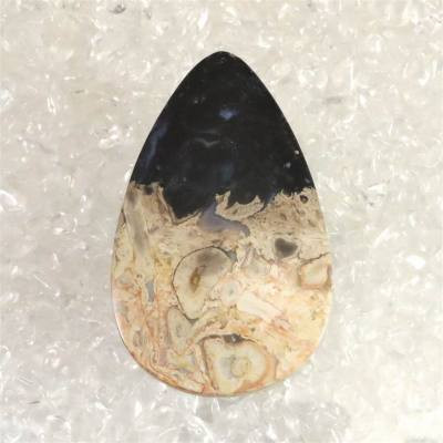 ペトリファイドウッド 珪化木  52mm ティアドロップ ルース 14.0g  【16195】 7,904円