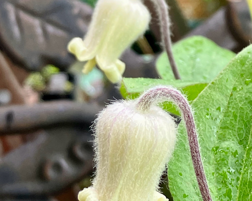 0600f8b366da81d49f83c10df90ccb