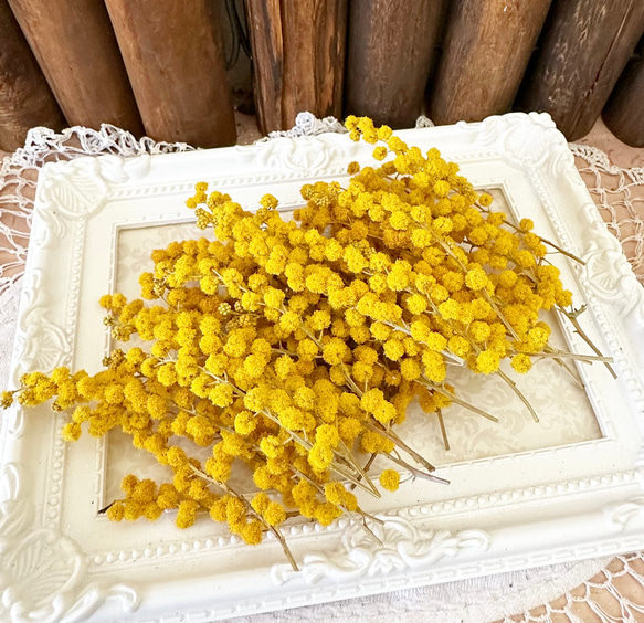 リピーター様＊ミモザ＊様御購入品♡