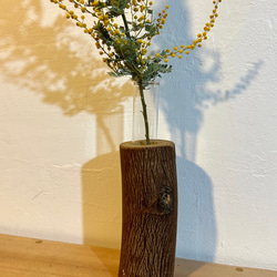 dc99fd7d36a132ef0dfd752193a2f1