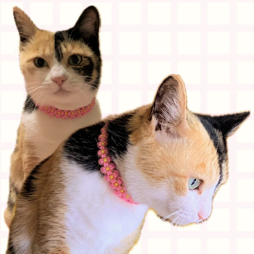 猫さま専用　バーバリーまとめ　コート　スプリングコート H.UNIT】2024SSスタート、まずはスプリングコートから