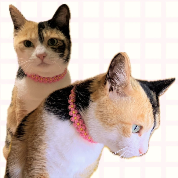 猫用首輪（ピンクフラワー）安全セイフティーバックルのパラコード首輪 4枚目の画像