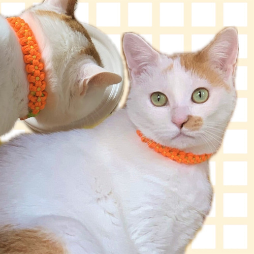 猫用首輪（オレンジフラワー）安全セイフティーバックルのパラコード