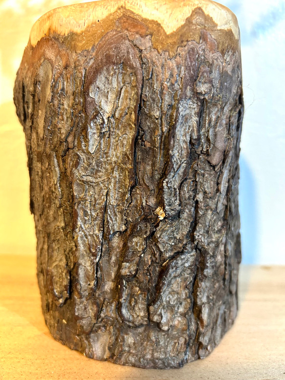 天然木の花瓶 ヒノキ 大 皮付きナチュラル No,102 9枚目の画像