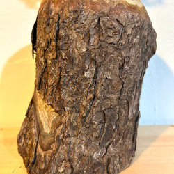 天然木の花瓶 ヒノキ 大 皮付きナチュラル No,102 11枚目の画像