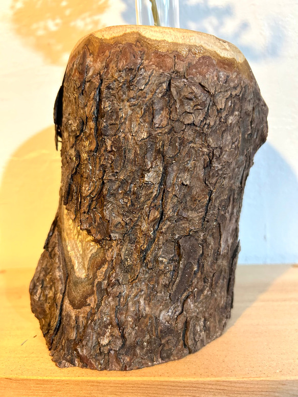 天然木の花瓶 ヒノキ 大 皮付きナチュラル No,102 11枚目の画像
