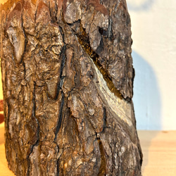 天然木の花瓶 ヒノキ 大 皮付きナチュラル No,102 10枚目の画像
