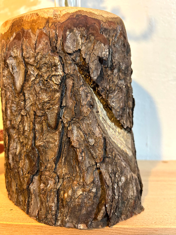 天然木の花瓶 ヒノキ 大 皮付きナチュラル No,102 10枚目の画像
