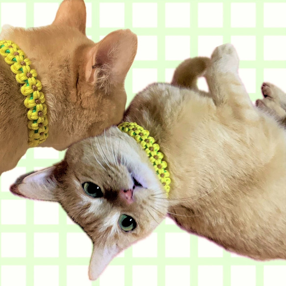 猫用首輪（ひまわり）安全セイフティーバックルのパラコード首輪 4枚目の画像