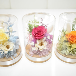 ドライフラワー　プリザーブドフラワー　アレンジ　38束　まとめ売り 楽天市場】ドライフラワー プリザーブドフラワー フレーム