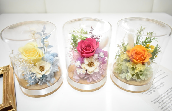 プリザーブドフラワー ドライフラワー　ドーム型ガラスケース　アレンジメント プリザーブドフラワー ドライフラワー ドーム型ガラスケース