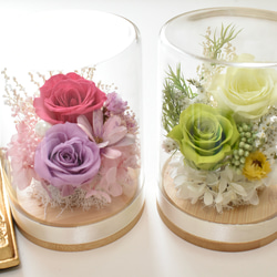 プリザーブドフラワー バラ2輪 ドライフラワー ドームフラワー