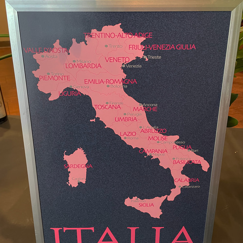 おしゃれなイタリア地図ポスター ネイビー×ピンク｜州名州都州境入り