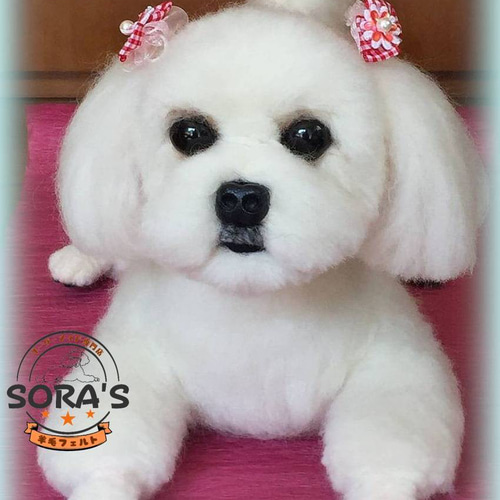 羊毛フェルトマルチーズ （羊毛フェルト＃犬 リアルで可愛い