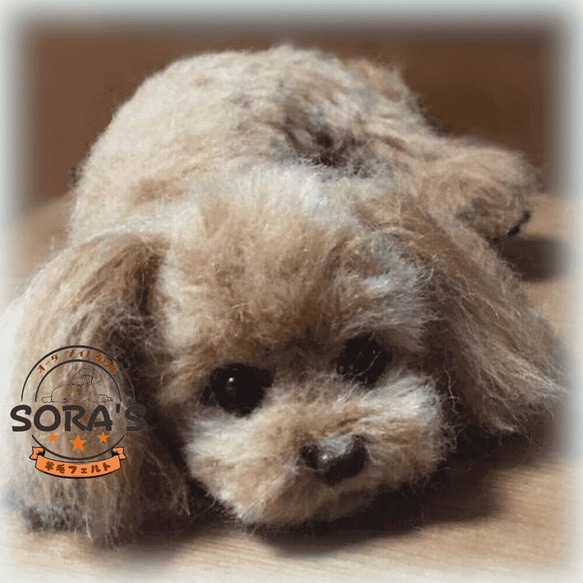 羊毛フェルト＃犬　リアルで可愛い　愛犬さん　オーダー制作・わんちゃん　プードル 1枚目の画像