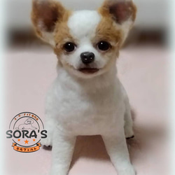 羊毛フェルト＃犬 リアルで可愛い オーダーメイド・わんちゃん