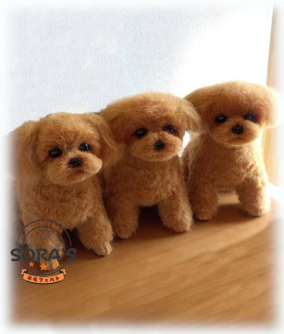 桜ちゃん様♡オーダー専用ページ 羊毛フェルト トイプードル 羊毛